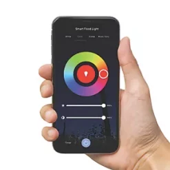 TCP 10m Outdoor LED Festoon RGB Bluetooth Lights 4.5W 56lm -LightPro Shop 123FV A4